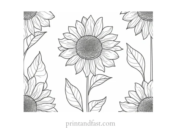 sunflower coloring page pattern