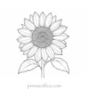 sunflower coloring page printable