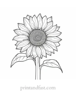 sunflower coloring page simple