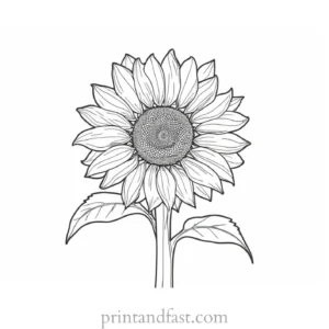 sunflower coloring page simple