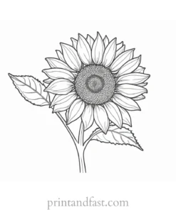 sunflower coloring page template