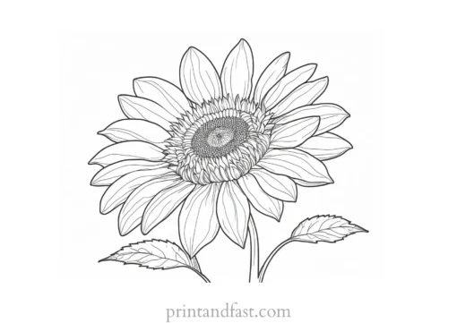 sunflower coloring page with ladybug