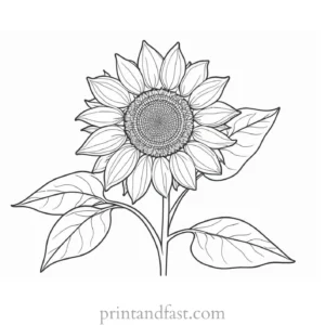 sunflower coloring page with leaves