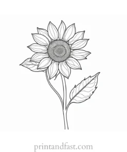 sunflower coloring page with stem