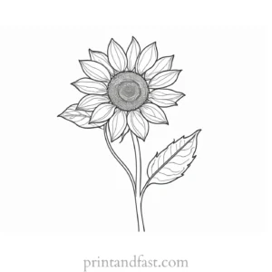 sunflower coloring page with stem