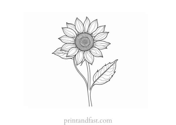 sunflower coloring page with stem