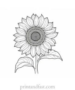 sunflower coloring page with sun