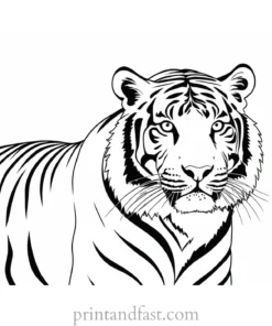 tiger coloring page for adults