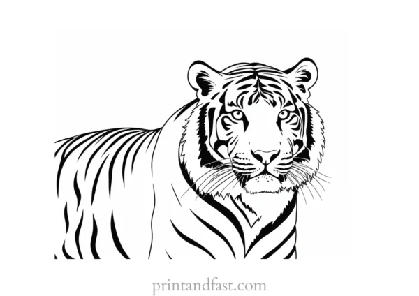 tiger coloring page for adults