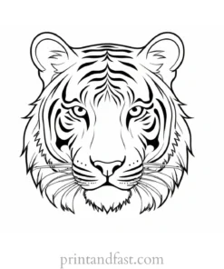 tiger coloring page for kids