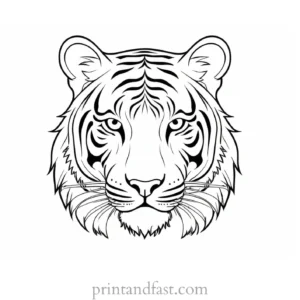 tiger coloring page for kids