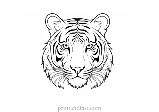 tiger coloring page for kids