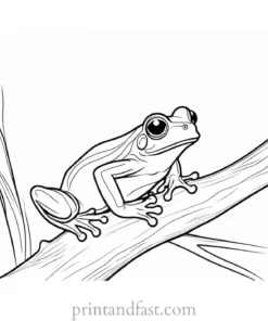 tree frog coloring page