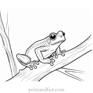 tree frog coloring page