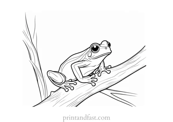 tree frog coloring page