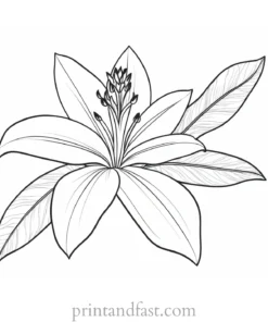 tropical flower coloring page