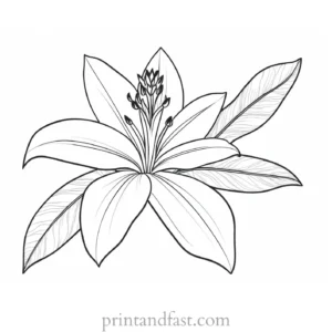 tropical flower coloring page