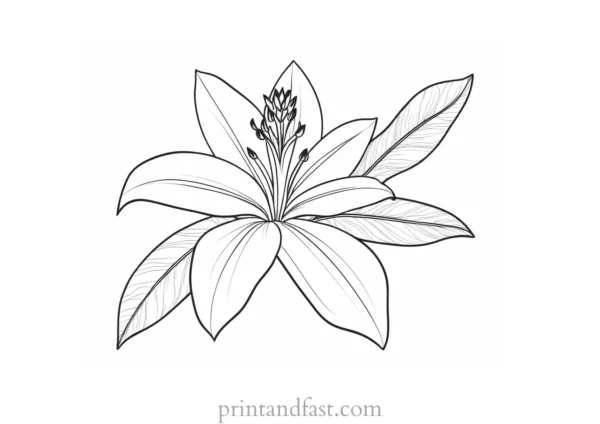 tropical flower coloring page