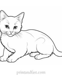 unique kitten coloring page