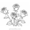 valentines day coloring page roses