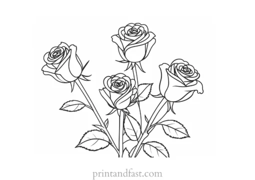 valentines day coloring page roses