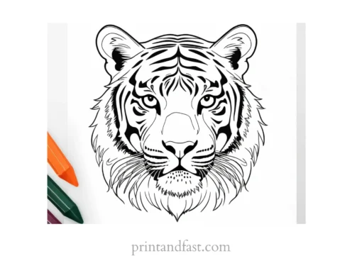 watercolor tiger coloring page