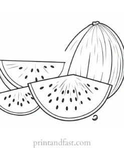 watermelon coloring page fruit