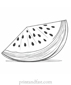 watermelon coloring page slice