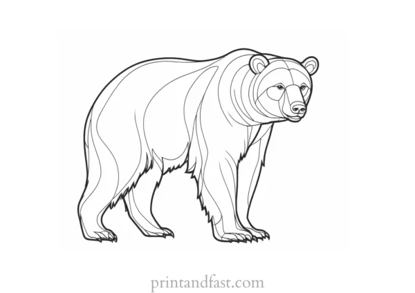 wild Bear Coloring Page