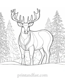 winter coloring page animals