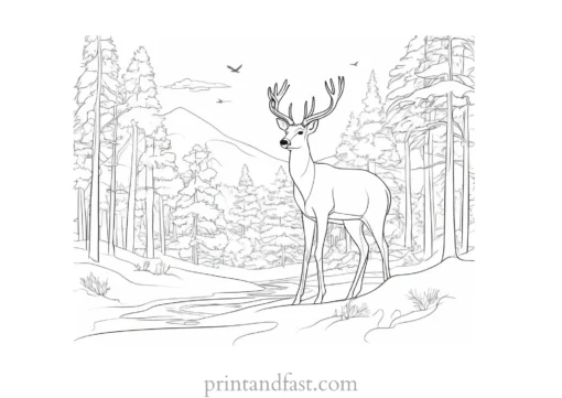 winter coloring page wildlife