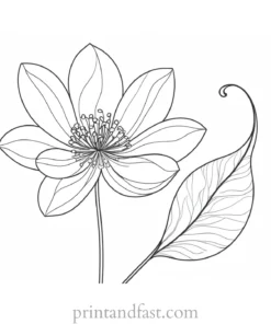 winter flower coloring page