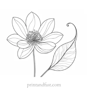 winter flower coloring page