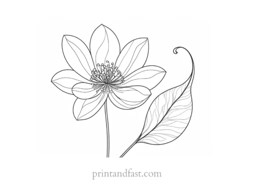 winter flower coloring page