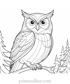 winter owl coloring page