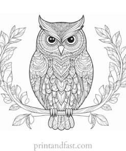 zentangle owl coloring page