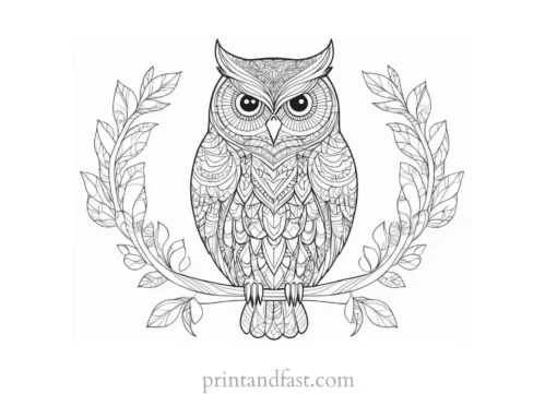 zentangle owl coloring page