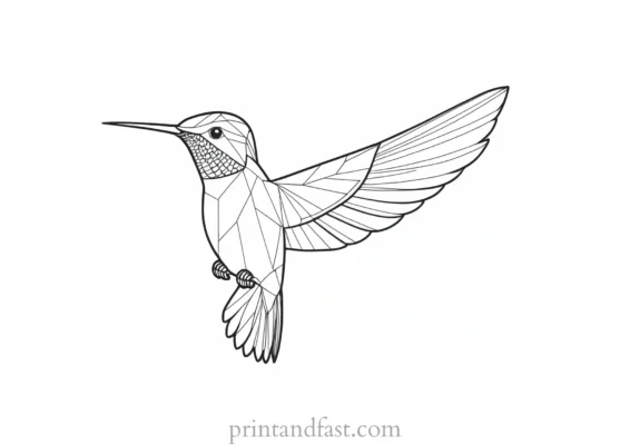 abstract Hummingbird Coloring Page