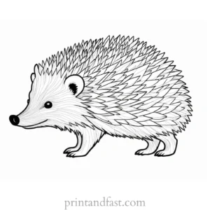 abstract hedgehog coloring page