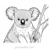 adult Koala Coloring Page