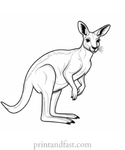 australian kangaroo coloring page