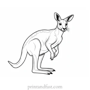 australian kangaroo coloring page