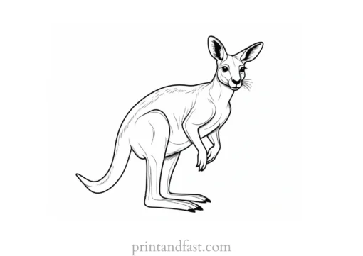 australian kangaroo coloring page