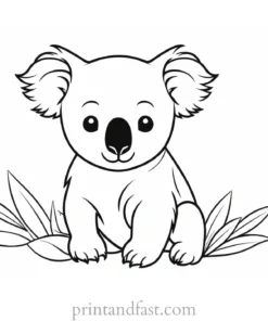 baby Koala Coloring Page