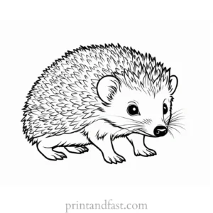 baby hedgehog coloring page