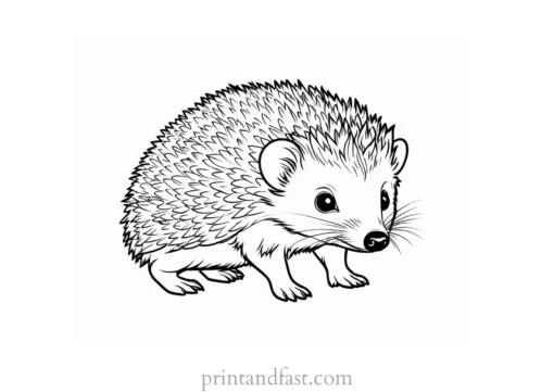 baby hedgehog coloring page