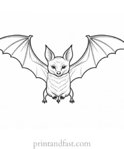 bat coloring page PDF