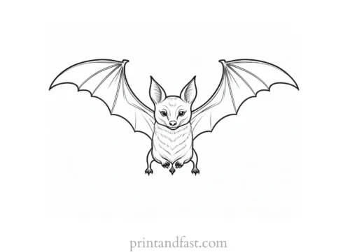 bat coloring page PDF