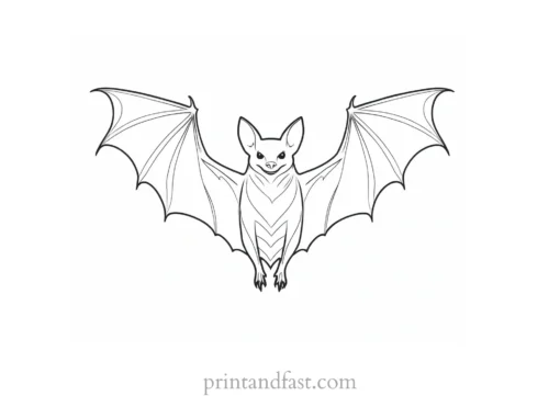 bat coloring page realistic