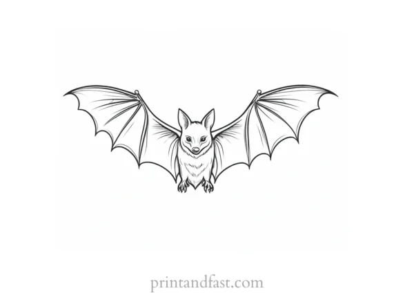 bat coloring page with wings